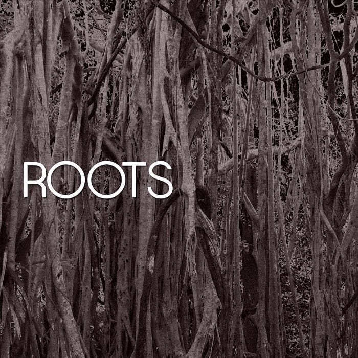HAVYN – “Roots” artwork