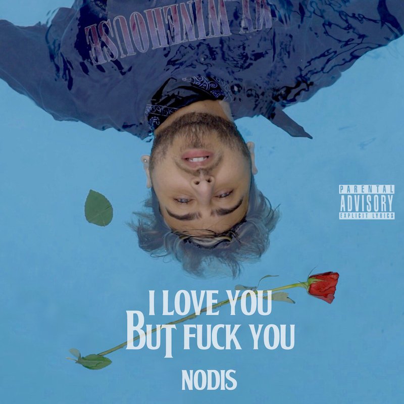 Nodis - I Love You But F**k You cover