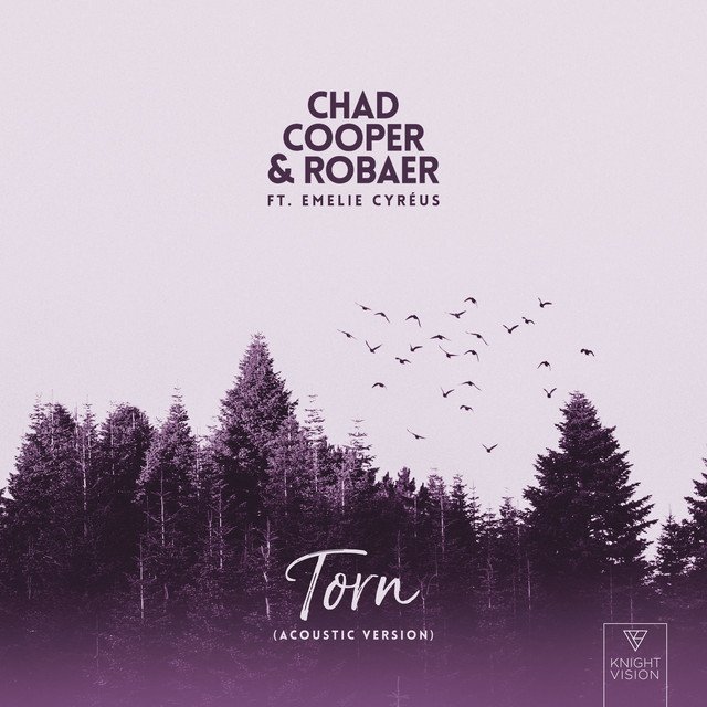 Chad Cooper & Robaer – “Torn (acoustic version)” cover