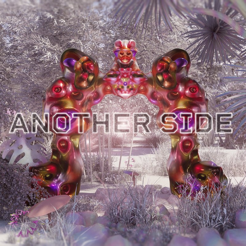 expanded edition - Nicolas Godin - Another Side - cover