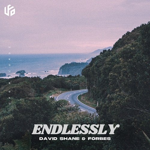 David Shane and Forbes - “Endlessly” song cover