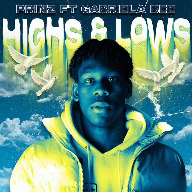 Prinz Highs Lows Cover Art Featuring Gabriela Bee 