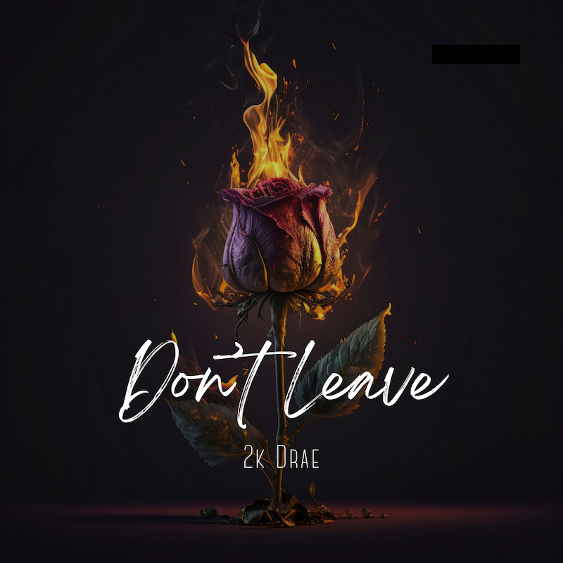 2k Drae - Don’t Leave cover art