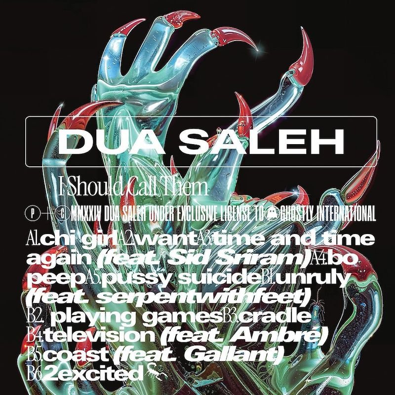 Dua Saleh - “I SHOULD CALL THEM” album back cover