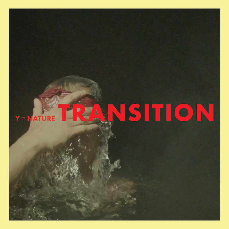 Y is Nature - Transition cover art